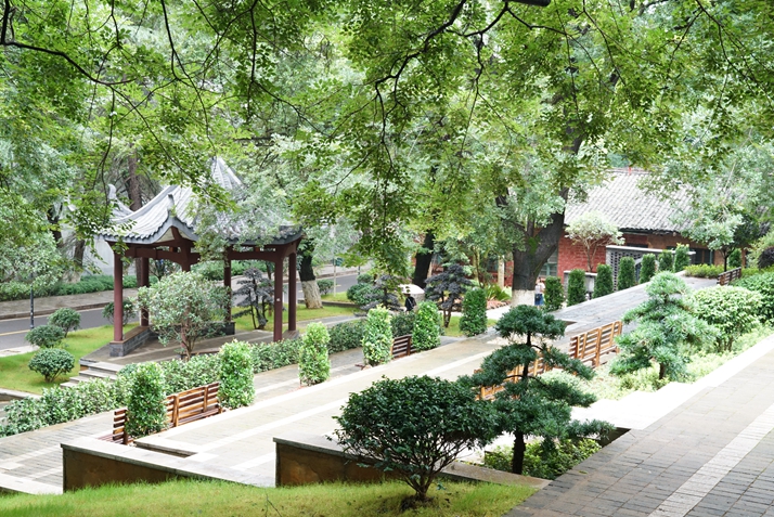 校园一角（10）